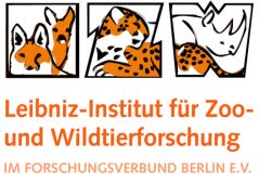 IZWLogo