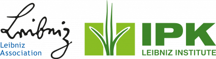 Logo_IPK_en_WGL_rgb