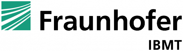ibmt-1024x291
